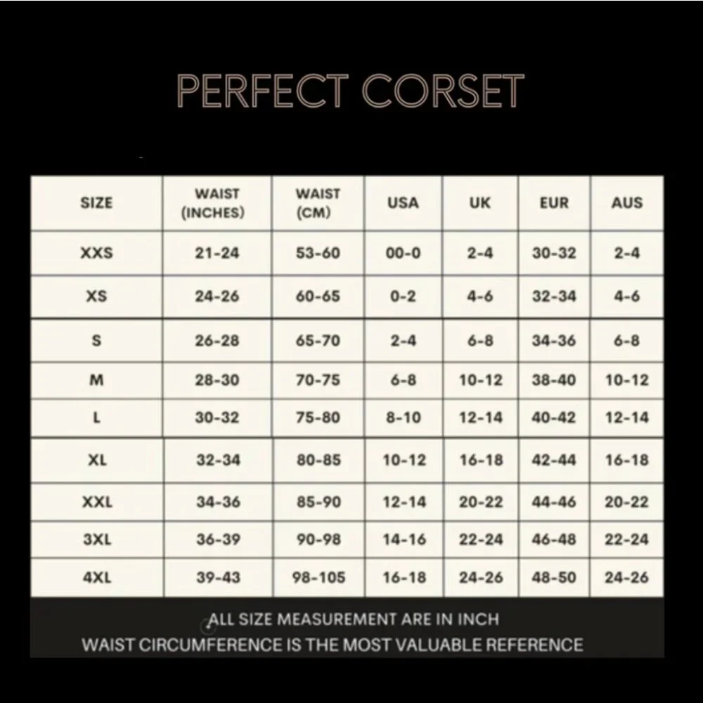 PERFECT CORSET Secret Form Waist Belt in Black, M NWT - Picture 8 of 8